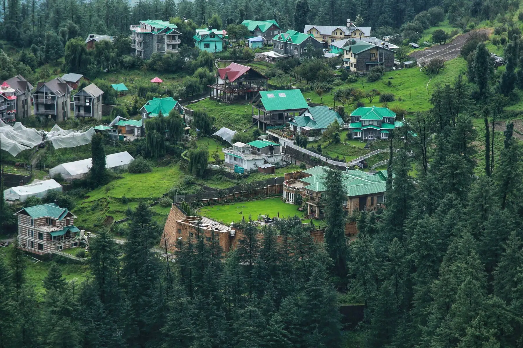 Things to Do in Shimla