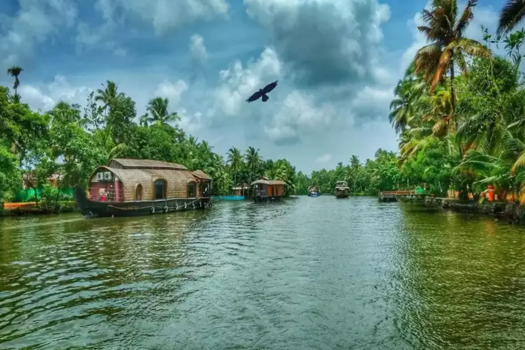 Romantic Things to Do In Kerala on Your Honeymoon