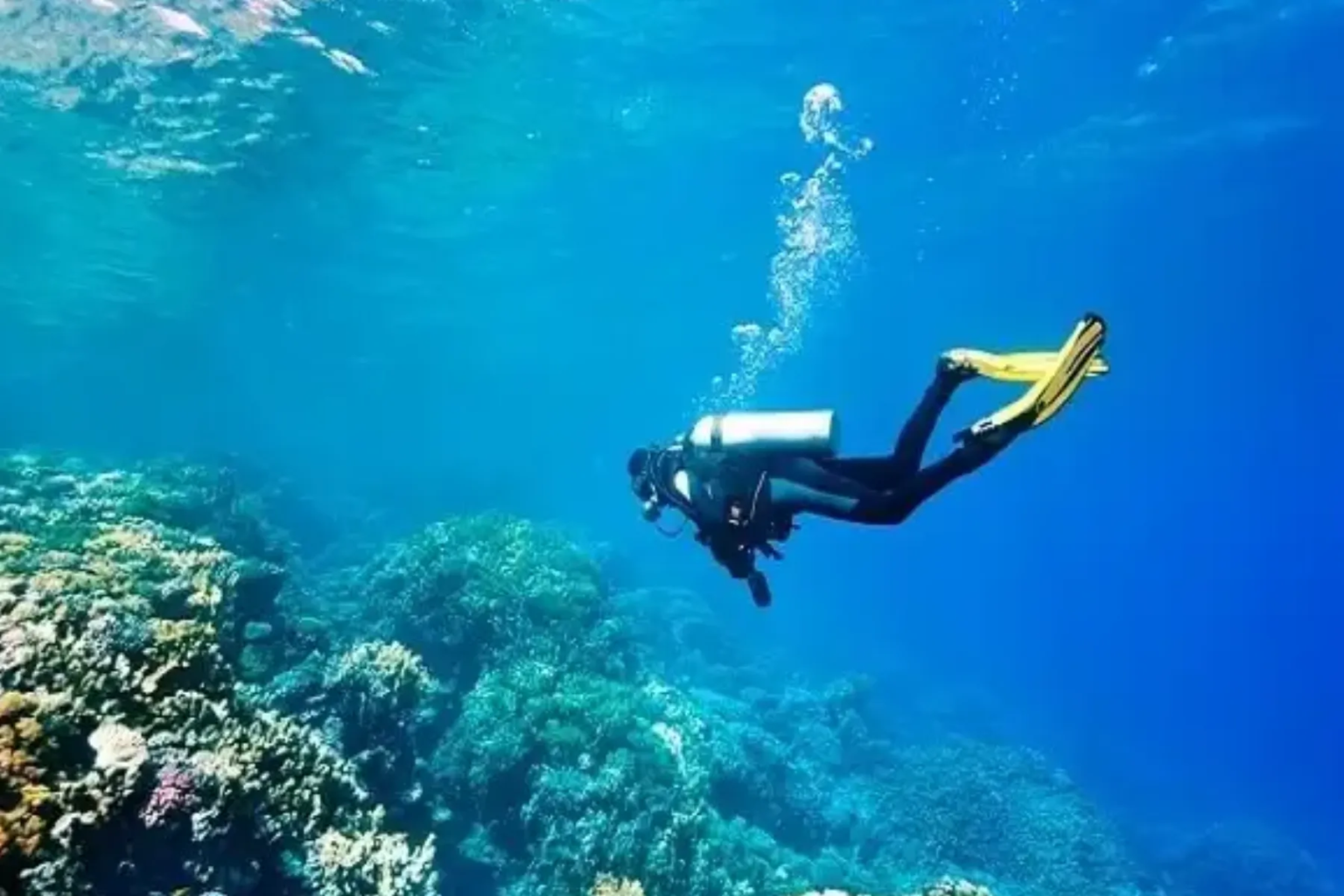 5 Best Spots for Scuba Diving in Goa