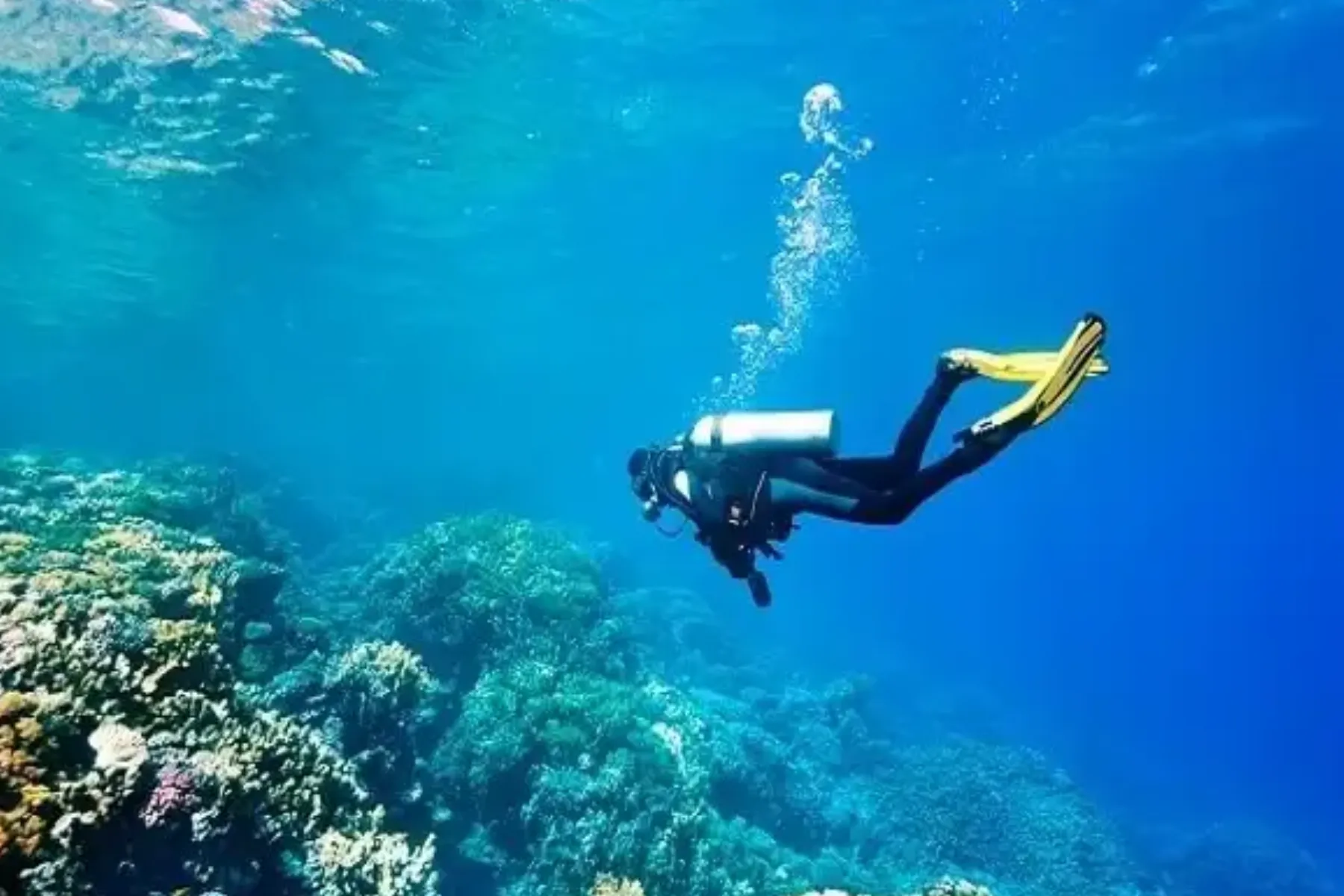 Best Spots for Scuba Diving in Goa