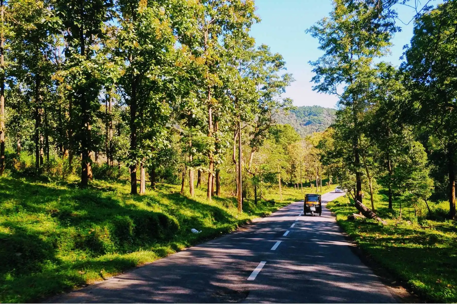 5 Most Adventurous Things To Do On Your Trip To Wayanad