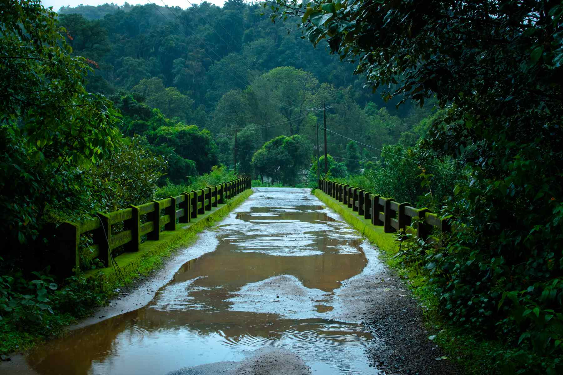 places to visit during monsoon in india