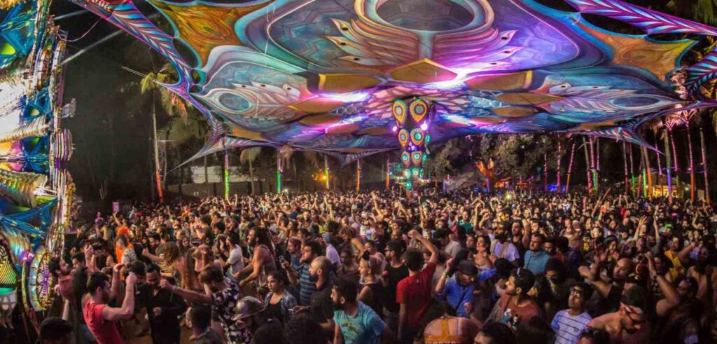 new year eve parties in goa