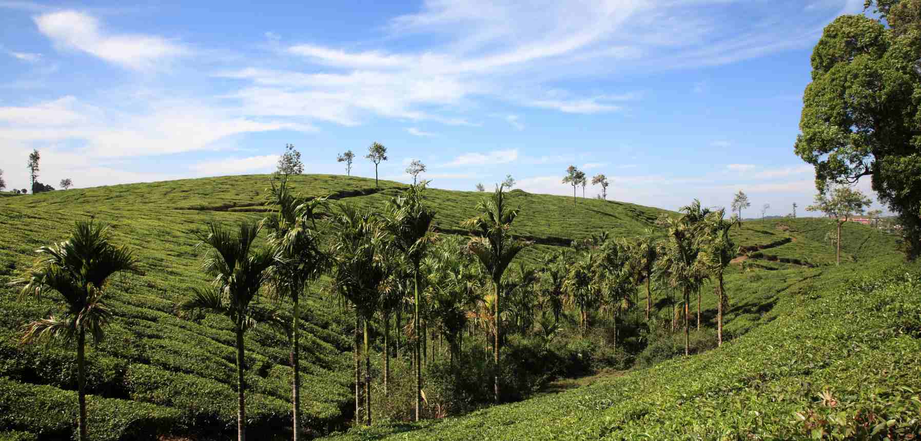 12 Best Places to Visit in India in February