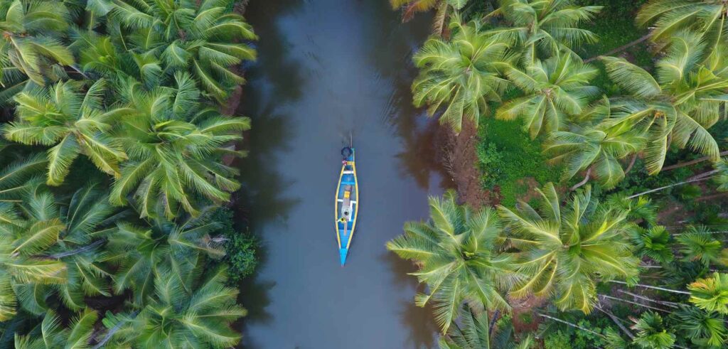 A captivating view of Kerala Backwaters