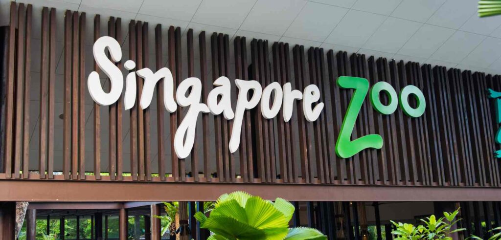 Singapore Zoo, the most fun things to do in singapore
