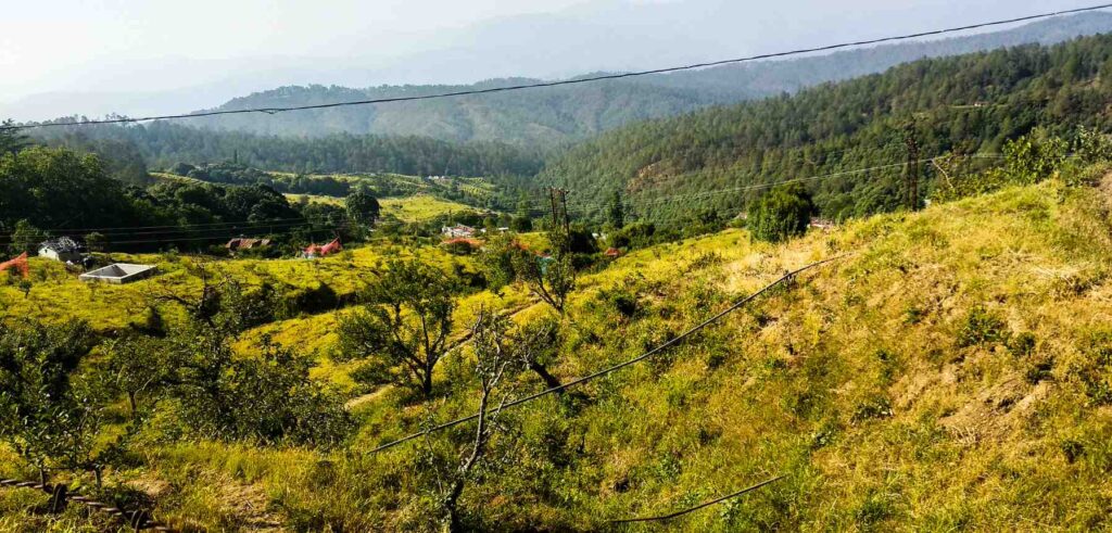 Ranikhet