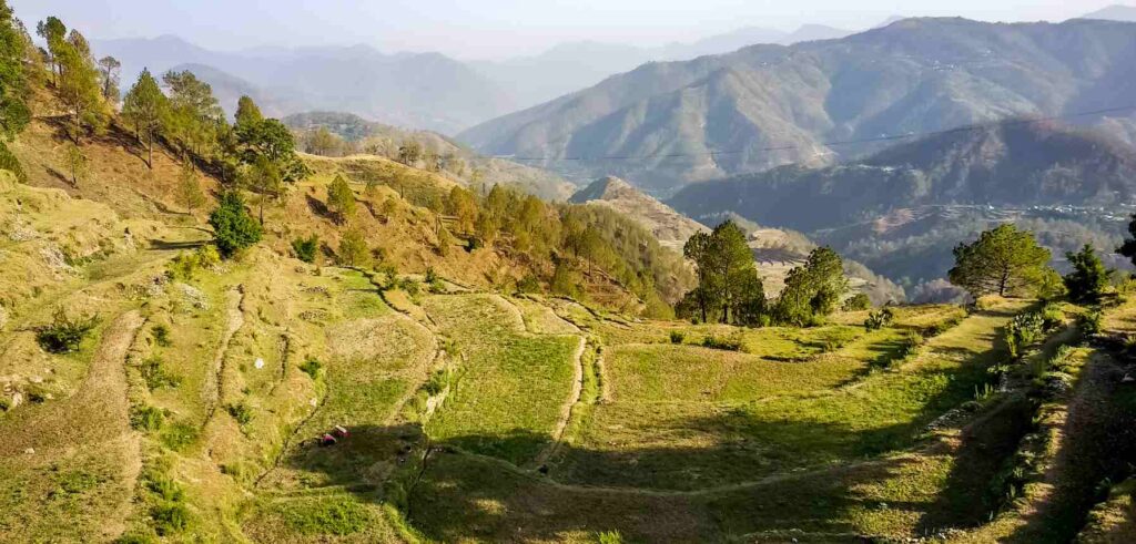 Ranikhet