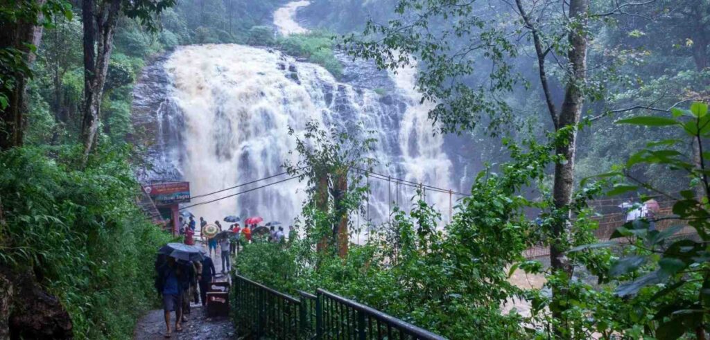 A scenic view of waterfall in coorg