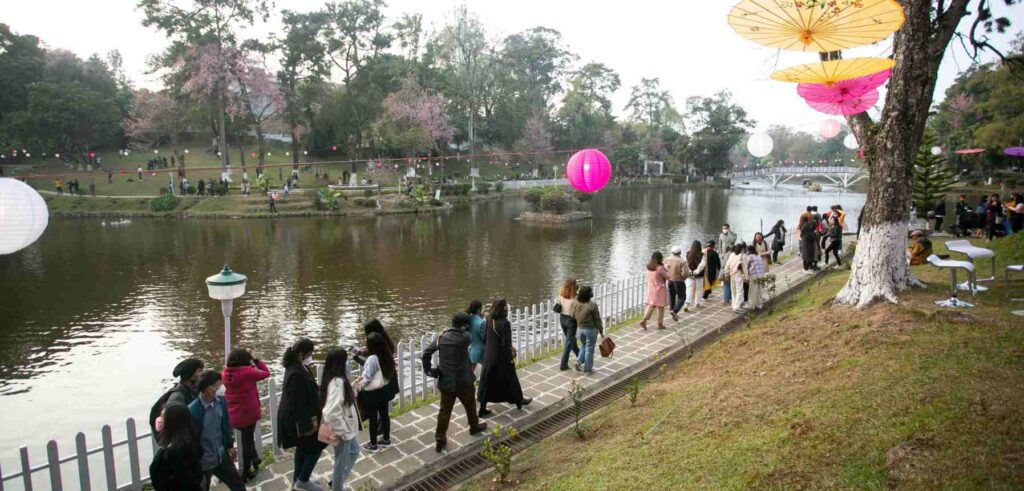 People enjoy the Cherry Blossom Festival in Shillong, walking by a lantern-decorated lake.