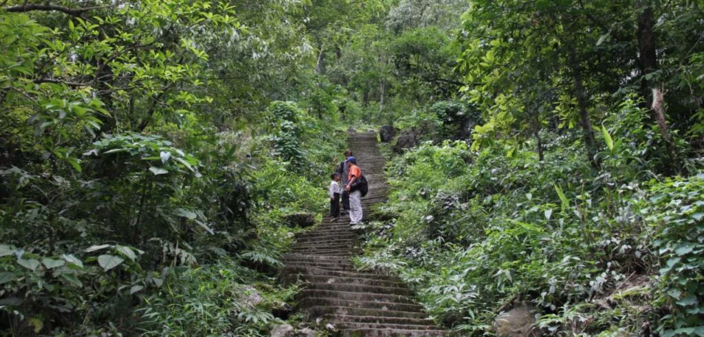 trek to double decker living root bridge