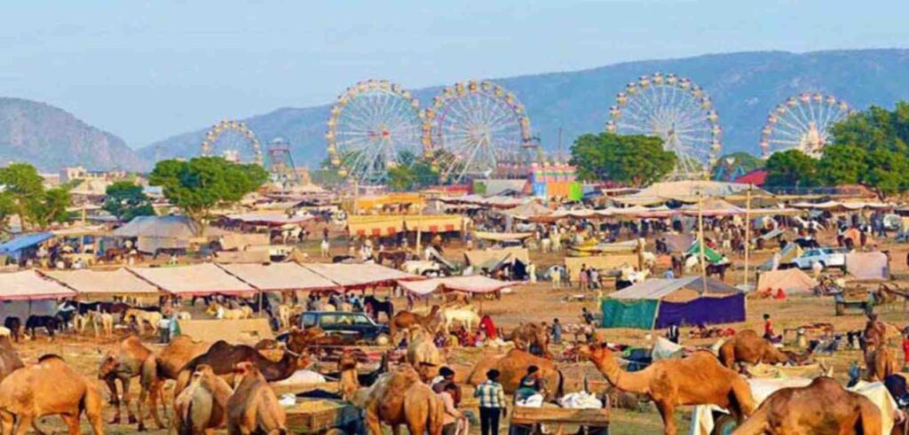 Pushkar fair