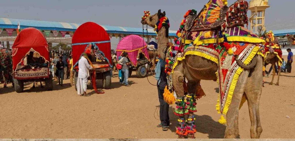 Tips for Tourists to Enjoy Pushkar Fair India 