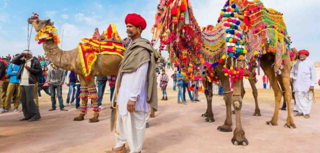 Camel ride in Pushkar camel fair