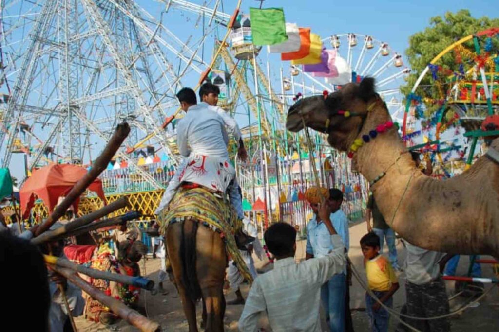 pushkar mela rajasthan
