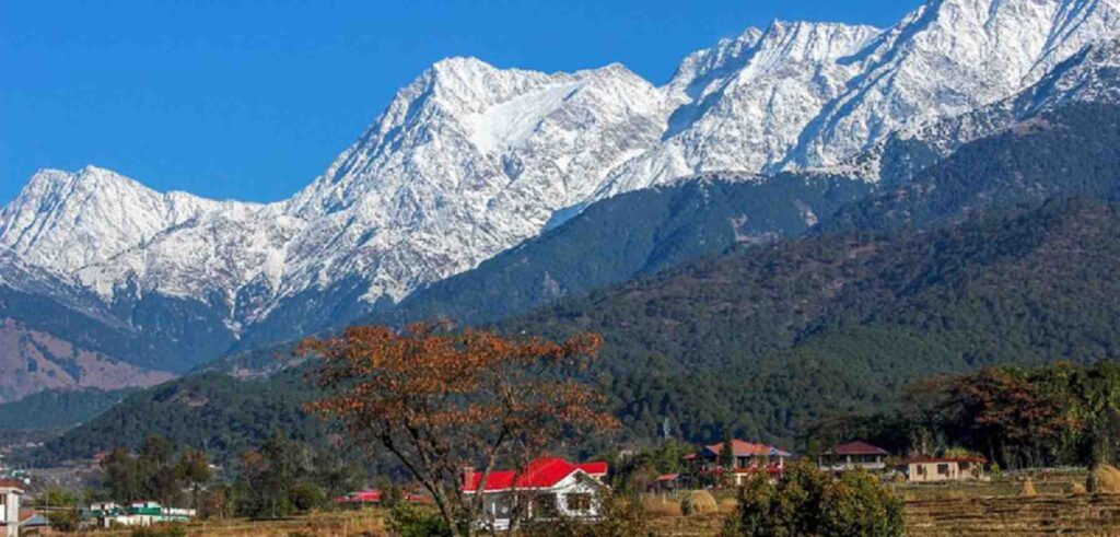 Palampur: Experience the Serene Beauty of Tea Gardens