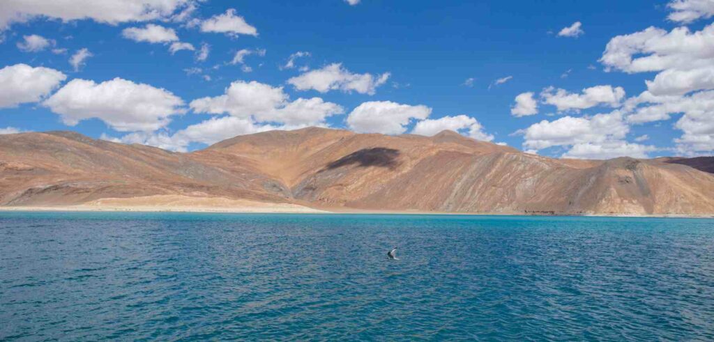 Pangong Lake