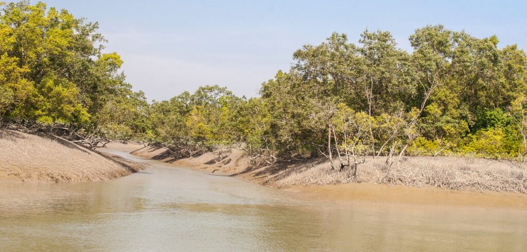 sunderbans tour