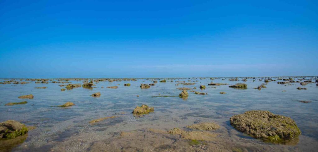 Marine National Park