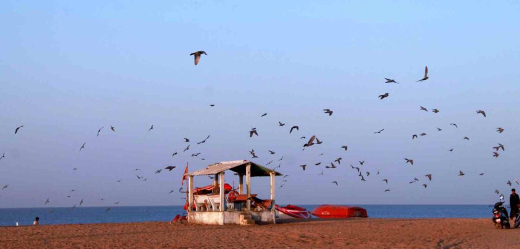 Mandvi Beach
