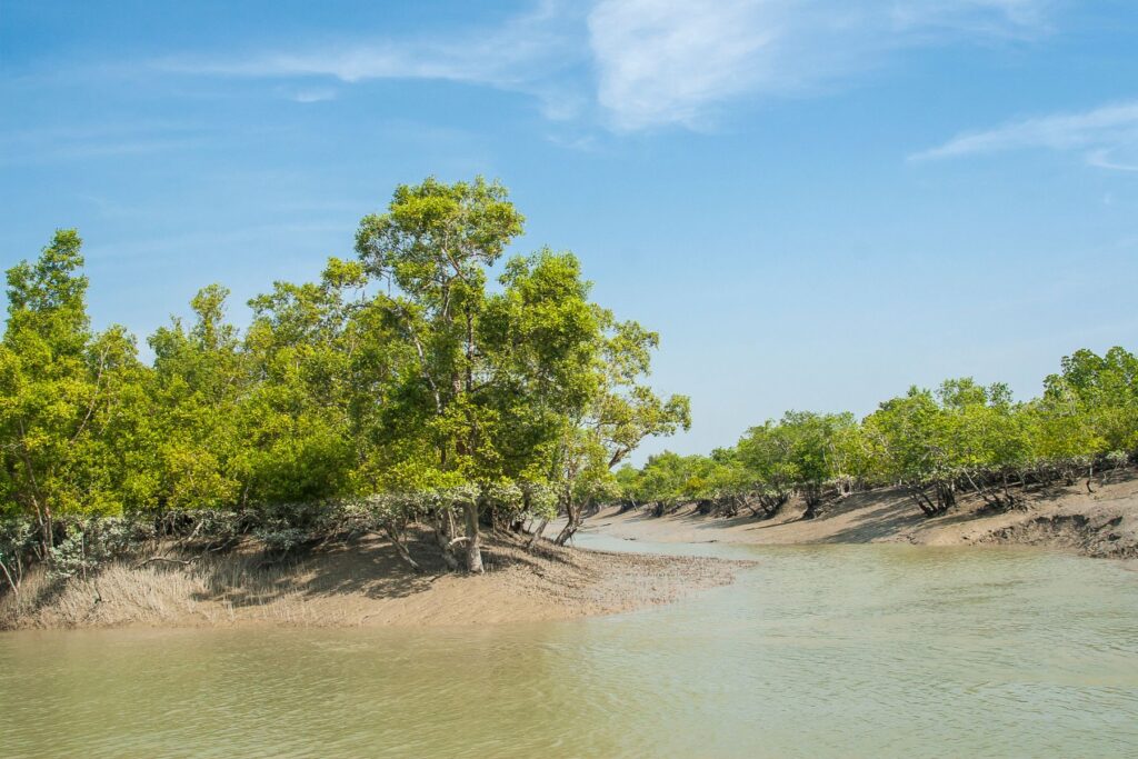 sunderbans tour