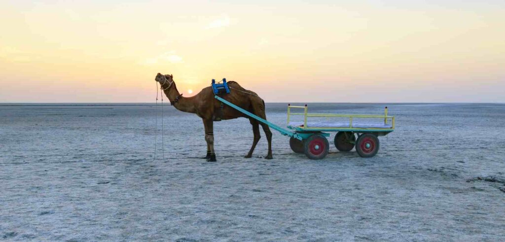 Kutch, Gujarat