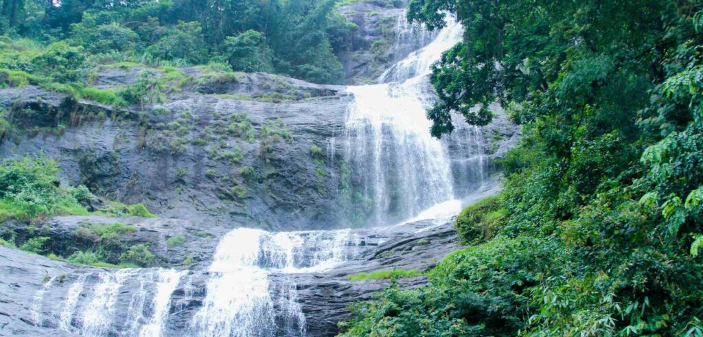 Munnar, Kerala