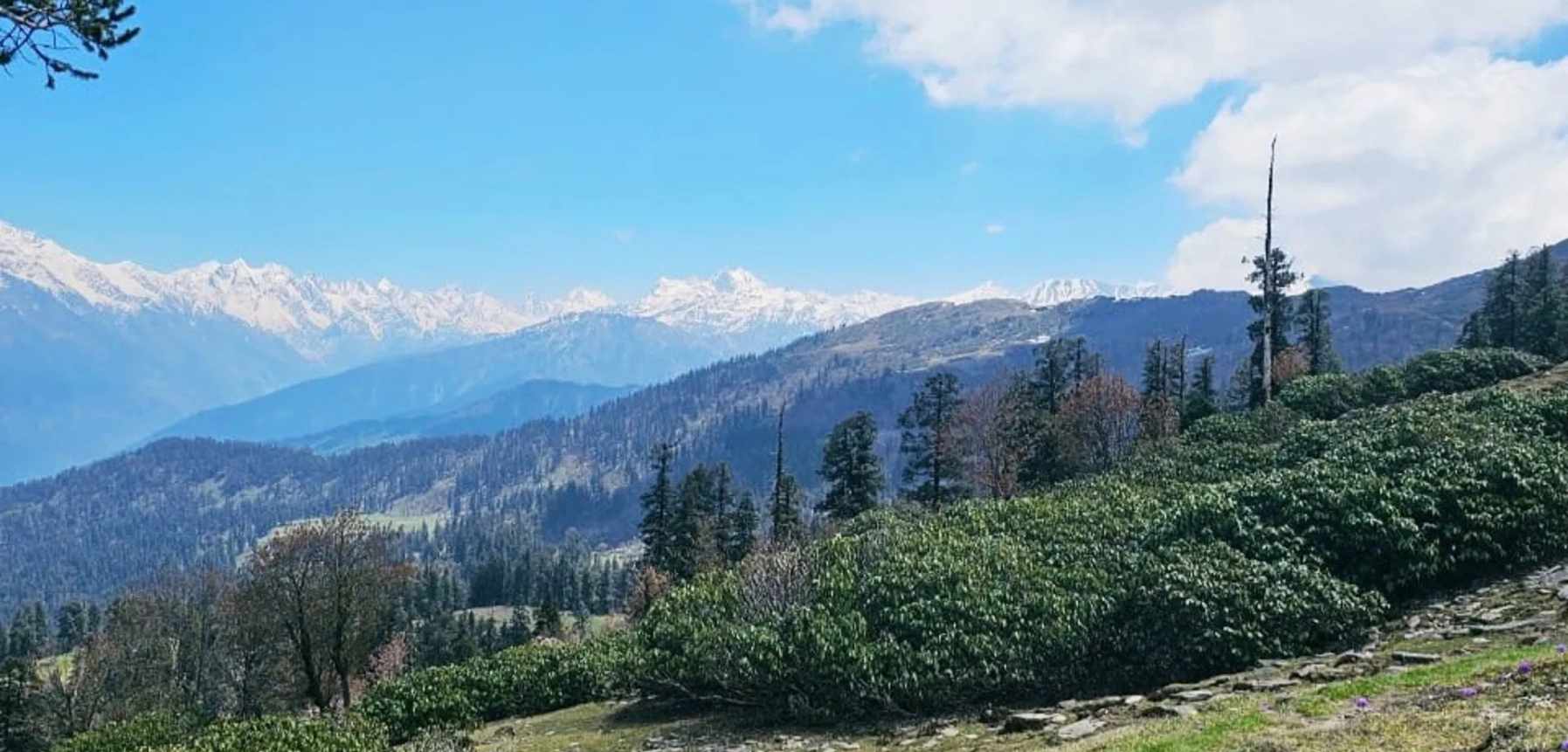 Phulara Ridge Trek Guide – Route, Best Time & Tips 2025