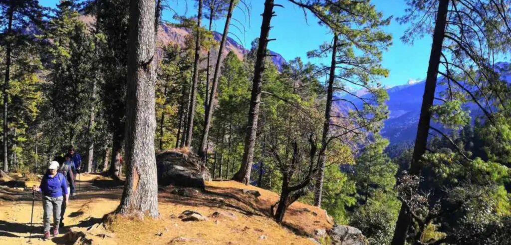 Best Time to Visit Phulara Ridge
