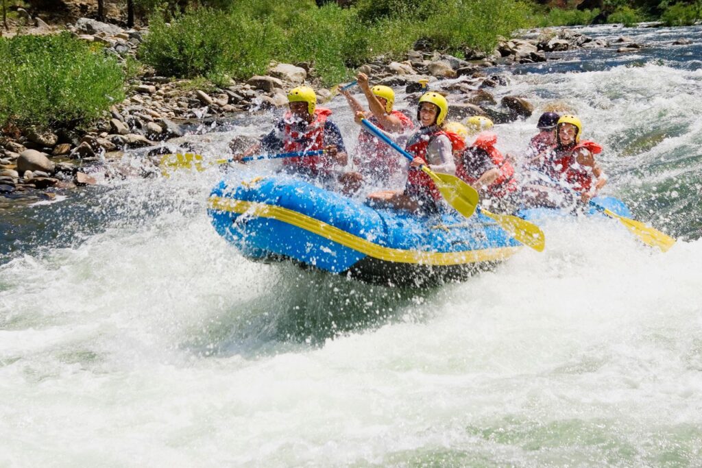 things to do in rishikesh