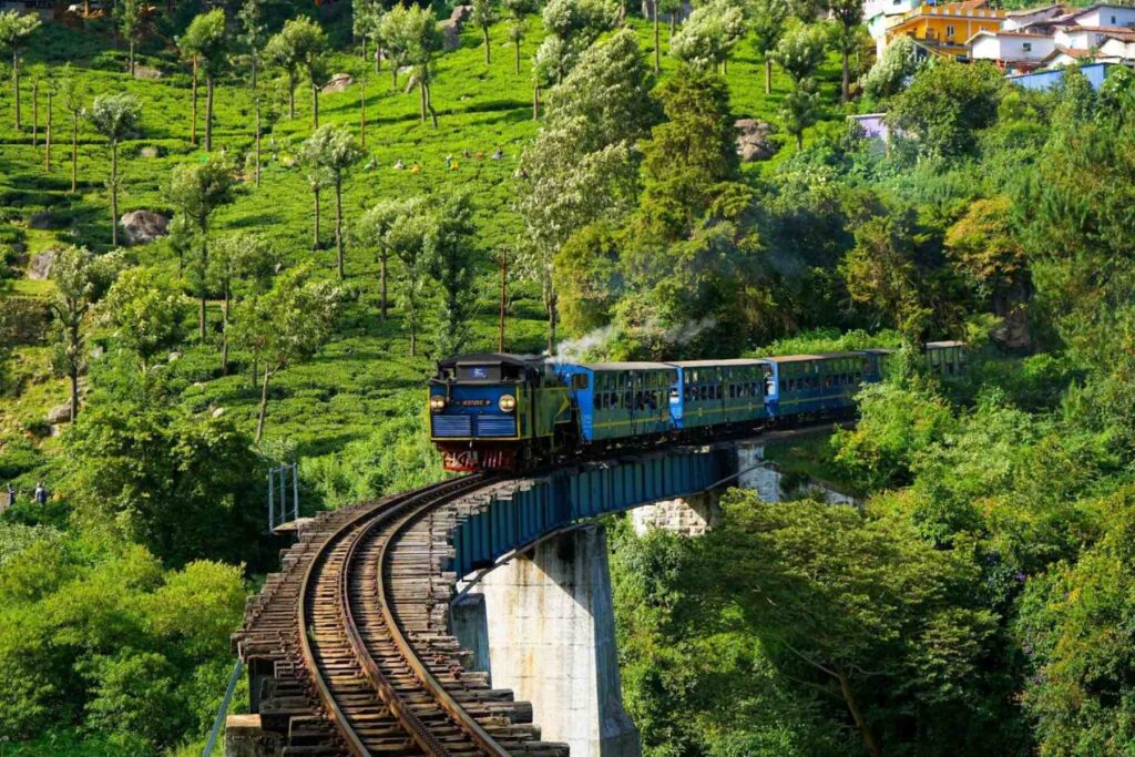 Places to Visit in Ooty