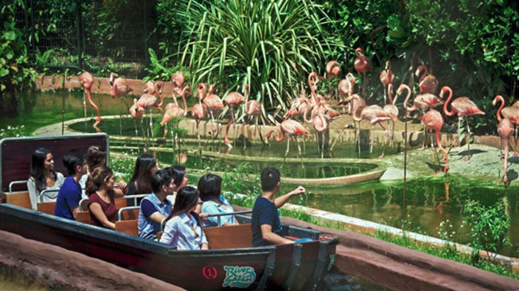 Safari World Bangkok Show Timings 2026